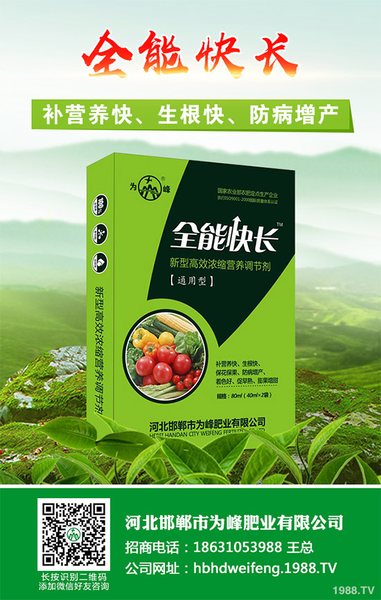 ����������Щ��̎������Ĺ�Ч���ü�ʳ�ý���