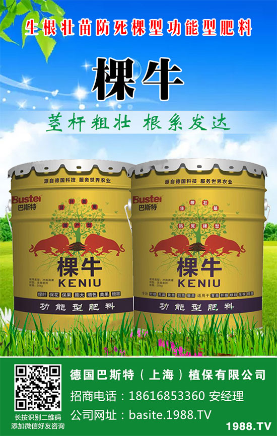 ���[���ʩ�ʣ����[�ƌW������ʩ�ʷ�����