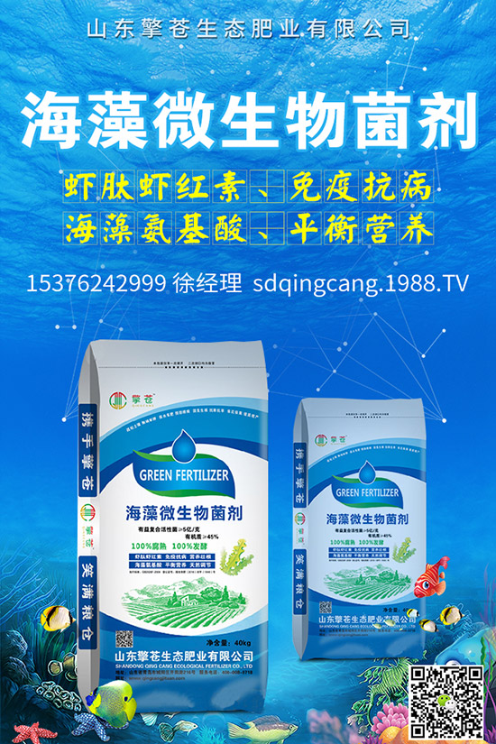     �ﶬ�}����ô�Nֲ���ﶬ�}�����N�r�g�����g����������