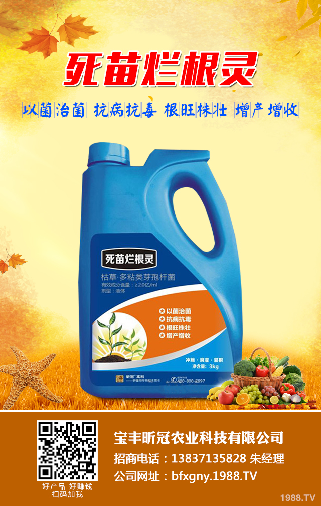 ���㶹������ô�k�����㶹������Ч���μ���