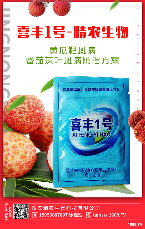 ���n������Щ��̎����Ҋ�n�ĵ�����