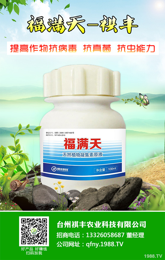 ���n������Щ��̎����Ҋ�n�ĵ�����