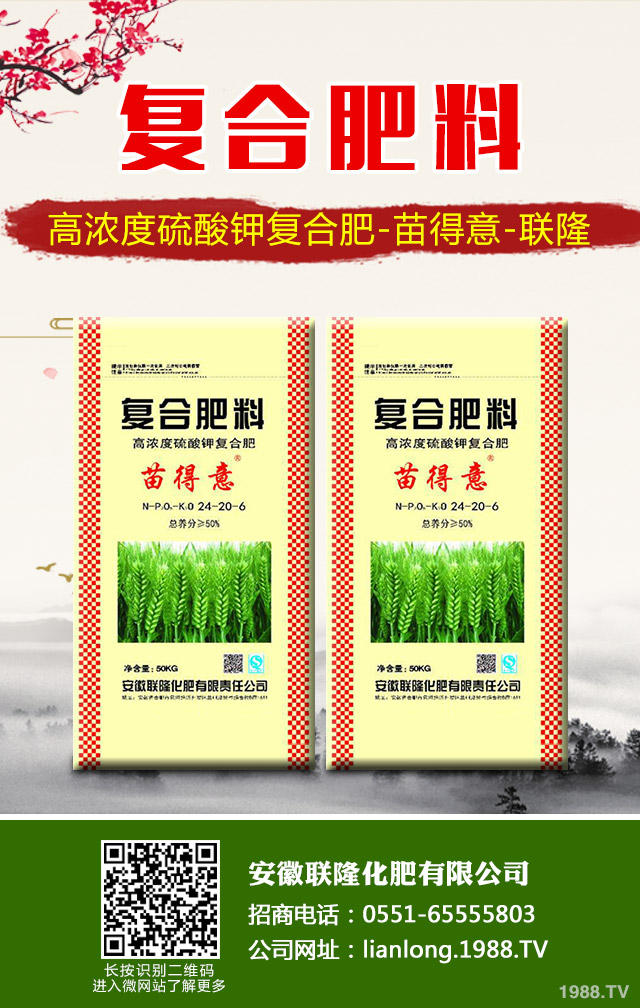 �K�F�~�S�݆��}��ô��Q���K�F�~�S�ݽ�Q����