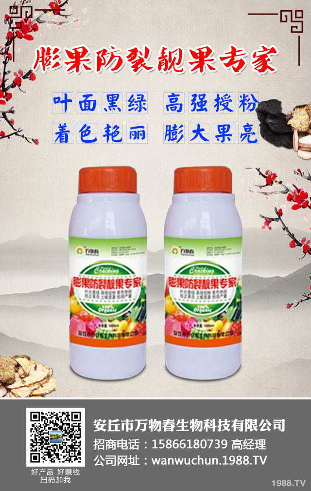 ����A(y��)����ݮ��������ݮ���η��μ���