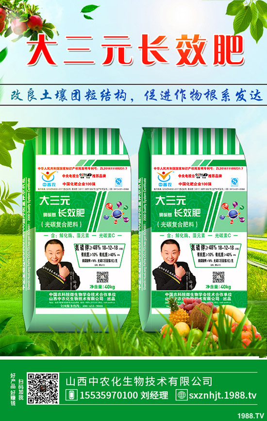     �＾���[��ι������＾���[�Nֲ�������������g(sh��)��