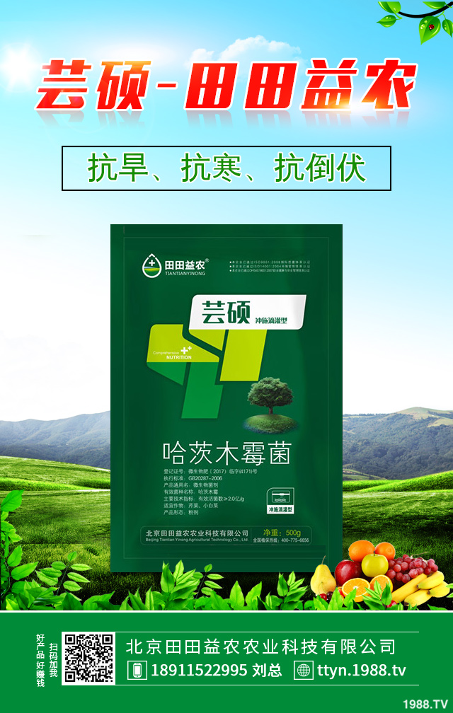 ����������η������������ٷ�������