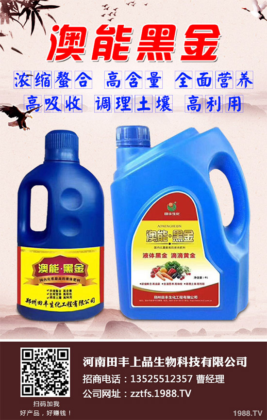 ���Ĳ�����Щ�I�B(y��ng)�rֵ���Ծ��Ĳ�����Щ��̎������Գ�������