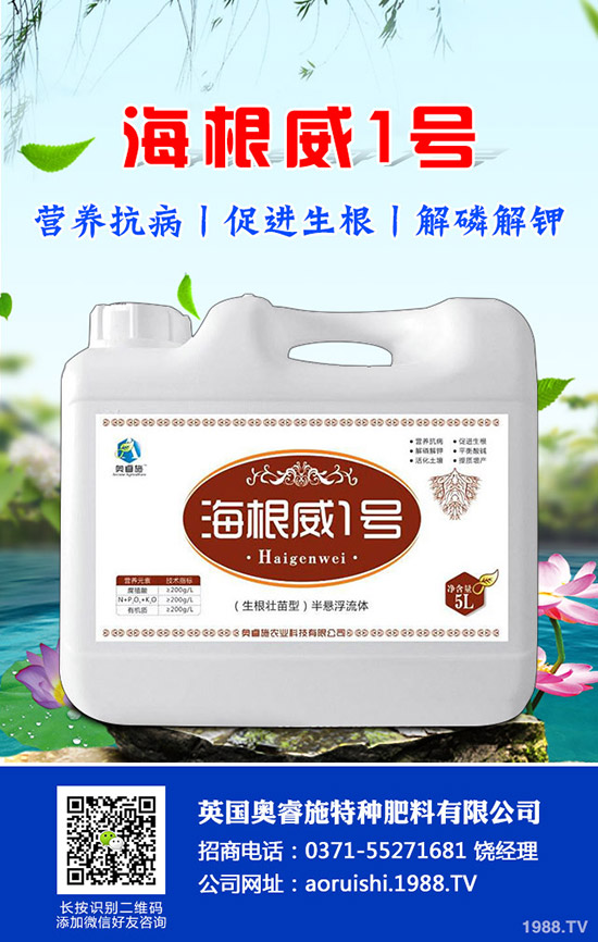 �����^����Щ��̎�����^�ĠI�B(y��ng)�r(ji��)ֵ��ʳ�ý�����