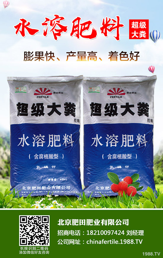 ��ݮ���˼t������������ô�k����ݮ�t�����������R(sh��)�e�����ͷ��Σ�