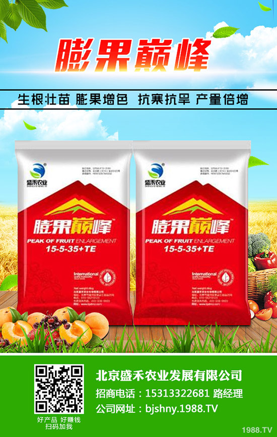 �Ͳ�ʲô����(ji��)�Nֲ���ͲˏķNֲ���S����Ҫ�����