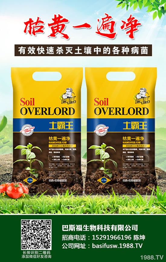 ���Sԓ��ηNֲ�����S�ĸ�Ч���༼�g(sh��)����Щ��