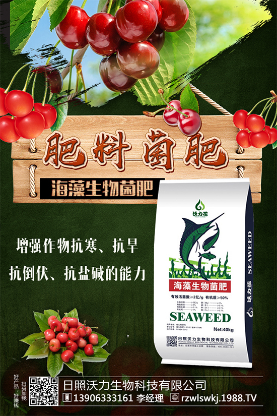 ������ôʩ����ʩʲô���ϣ�����ʩ��Ҫ�c��