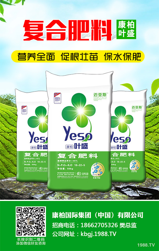 �۲˰߿ݲ�����ЩΣ���Y��۲˰߿ݲ���Σ��������