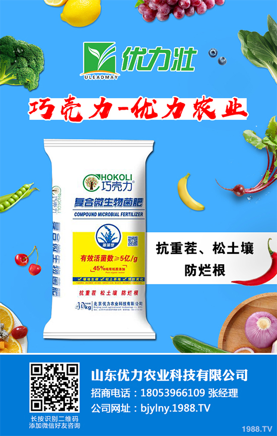 �۲�ܛ�������u������ԓ��η������۲�ܛ������Σ���c����