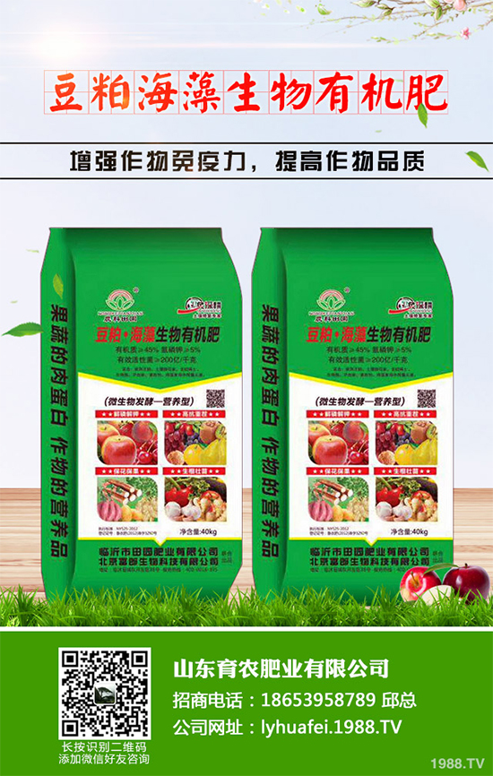 �۲����߲�����ЩΣ���Y�����۲����߲��İY����δ�ʩ