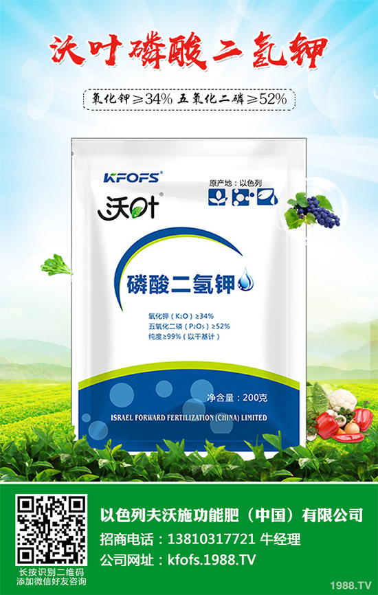 �۲˲���������ЩΣ����ԓ��η��Σ��۲˲�������Σ���c����