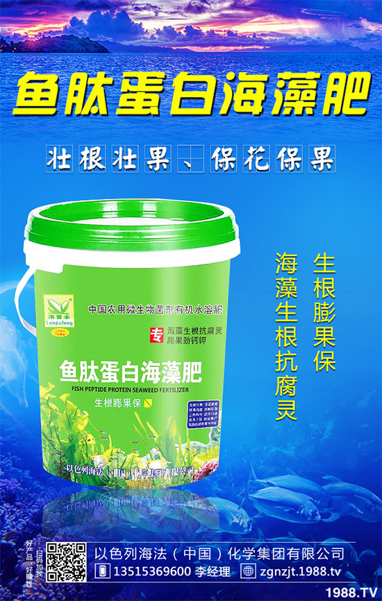 �۲˲���������ЩΣ����ԓ��η��Σ��۲˲�������Σ���c����