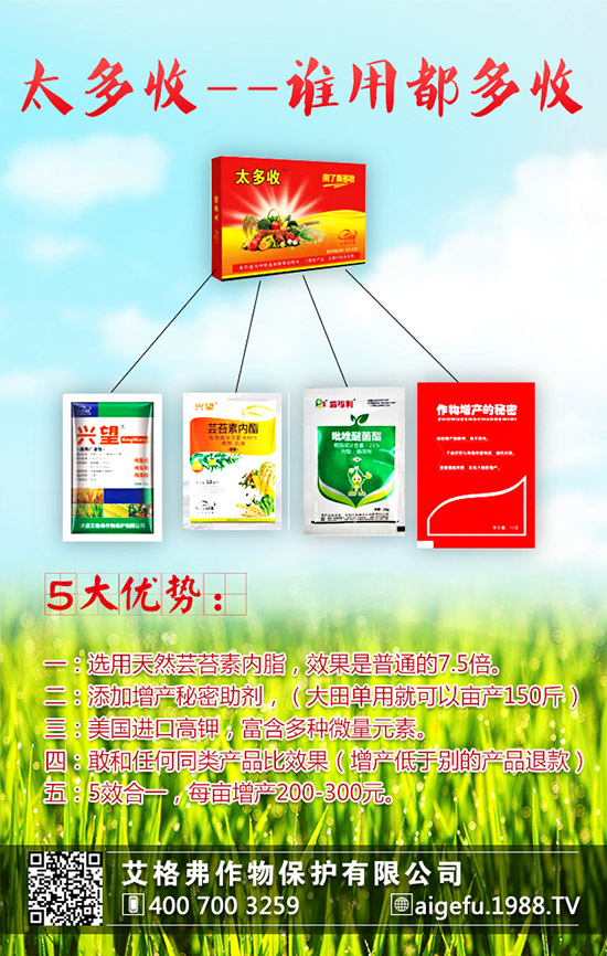 ���۵ķNֲҪ������Щ�����۵ķNֲҪ�c(di��n)��