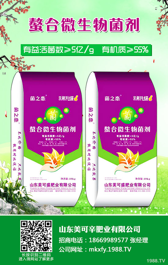     2020�����؃r(ji��)�������߄�����������Xһ����