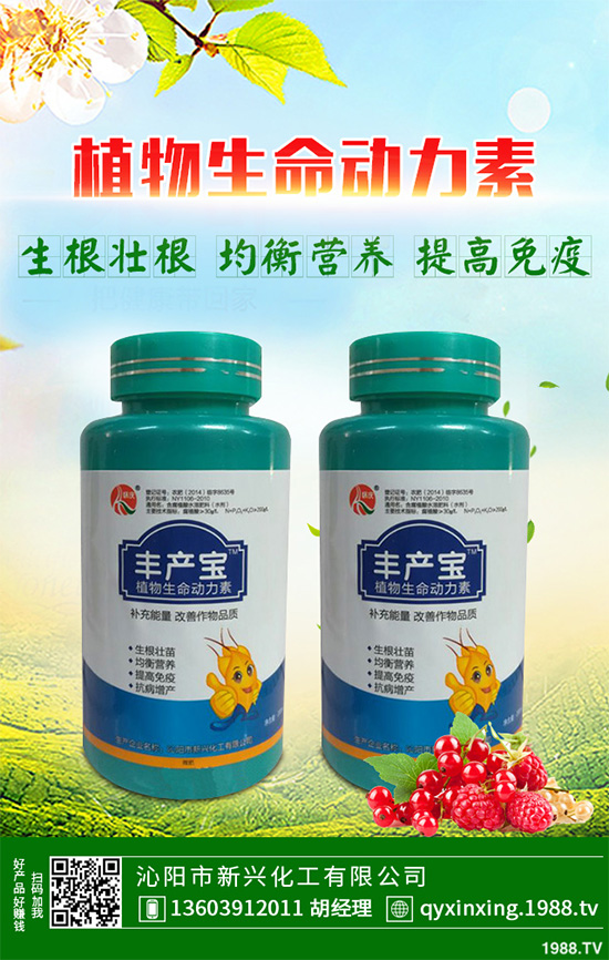 ���Ӳ��ܷN�ô�ײˣ���ײ˸߮a(ch��n)�Nֲ���g(sh��)Ҫ�c(di��n)