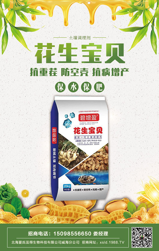     2020���������@�r(ji��)������(sh��)�P�������@�r(ji��)�����(b��o)��