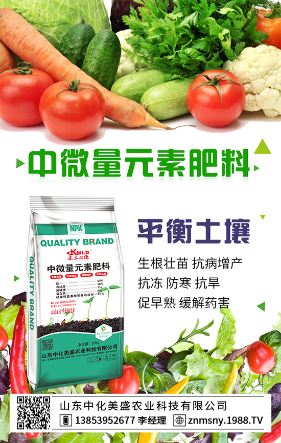 ������ݮ��ô�ܣ�������ݮ������ʩ��