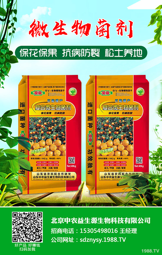     ����С���[��ηNֲ������С���[�Nֲ�r�g���Nֲ������