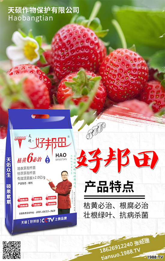 �����Ϲ�ԓ��ηNֲ�������Ϲϴ���Nֲ���g