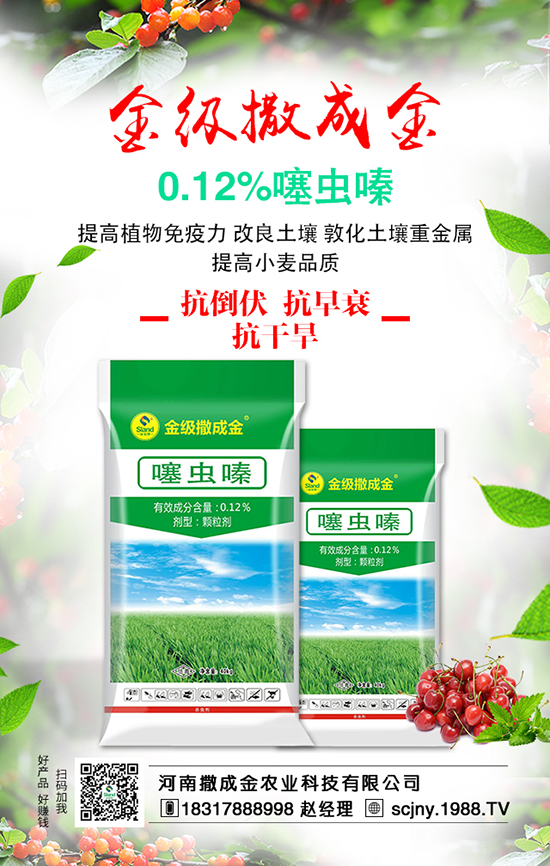 ���ˠI�B(y��ng)�S�������S��������ʩ�ʺ���Ҫ