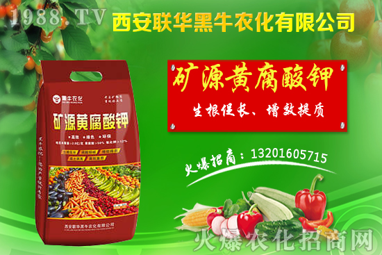 �＾����ԓ��ι������＾������푪(y��ng)������Ĵ��`�^(q��)��