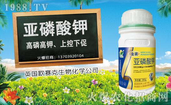 ľ��ʲô�r(sh��)��Nֲ��ľ�ϷNֲ�r(sh��)�g���Nֲ���g(sh��)Ҫ�c(di��n)��