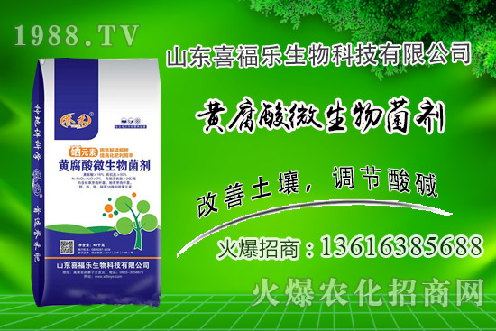 �����r(ji��)��(w��n)��ƫ��(qi��ng)��2020��10��14�ջ����r(ji��)���������