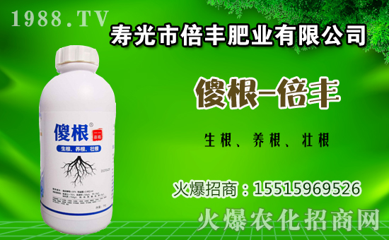 ���ӷNֲԓ���ʩ�ʣ����ӵĻ����c׷�ʷ�����