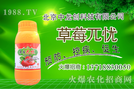 �������m�ϷNֲʲô��ˎ�ģ����@�����׷N��Щ��ˎ����