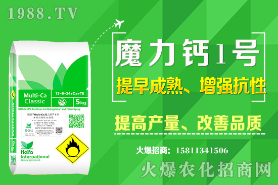 ʮ����Ѯ�m�ϷNֲʲô��ˎ������Щ��ˎ��ٍ�X����ߣ�