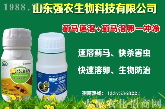 �ﶬ11�·Nֲʲô�߲˱��^���m���߲˷Nֲע�����(xi��ng)��