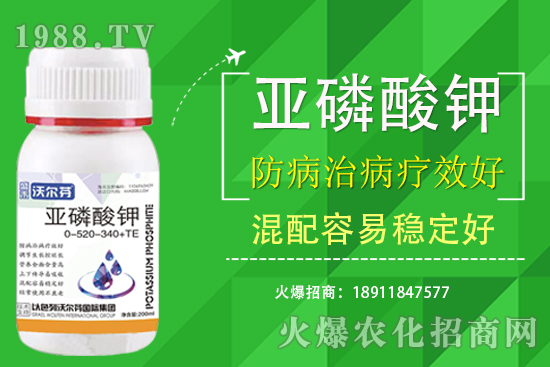 �������Ҫ��������ʲô������֮�g��ʲô�Pע��