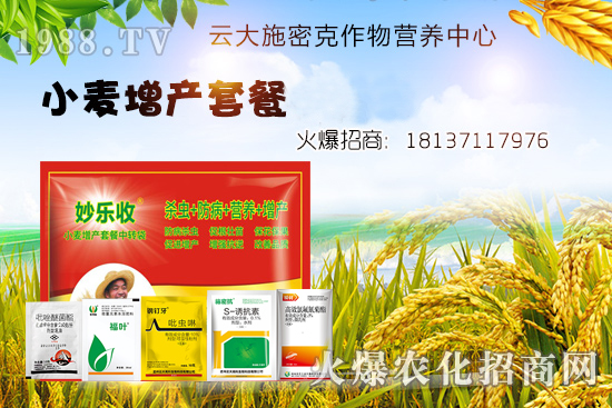 С�����N�󲻳�������ʲôԭ����ɵģ�