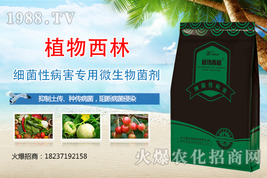 ����̿�Ҳ��Y����ʲô������̿�Ҳ��l(f��)��ԭ�򼰷���