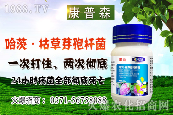 С���r��ֹ���ط�(w��n)��С���r���ܝq������