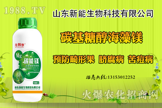 ���������ݮ���ι�ԭ�򣬳��F(xi��n)���ι���ô������