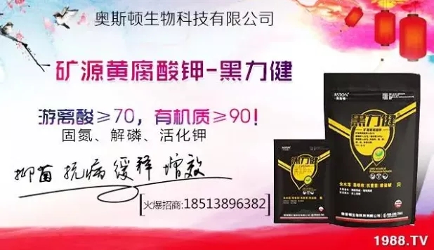 ����ʲô�r(sh��)�g���N��ע�����(xi��ng)����Щ�����ش���Nֲ�r(sh��)�g����