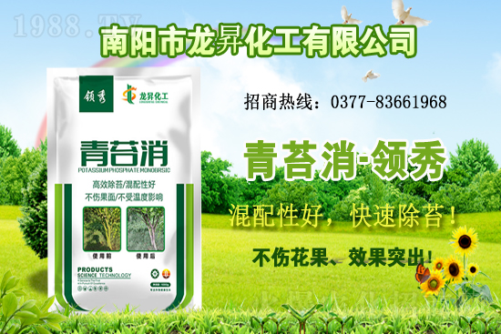 �󶹹�����(y��ng)�����r(ji��)����m(x��)�ϝq�����ش󶹃r(ji��)������