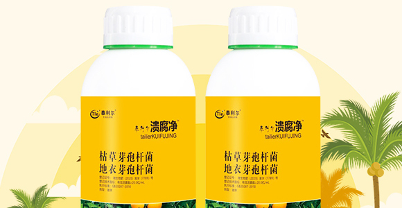 50g��������-��ʩ��_02