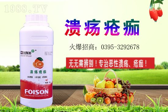 2021��ʯ��Nֲ���������ʯ�������(r��n)ǰ����ô����