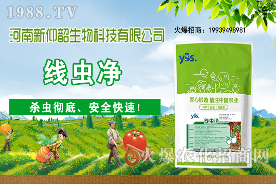 11��6�Շ�(gu��)��(n��i)С���r(ji��)���ව(w��n)���ֲ�С������(d��ng)��