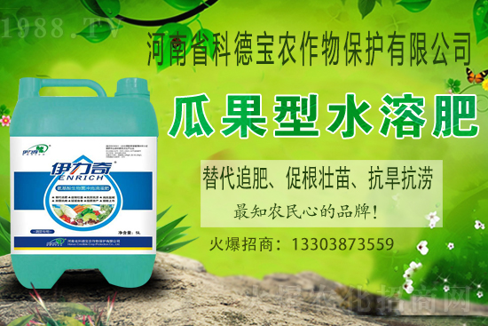 �����M��Ě��ʲô�r(sh��)�����������������x�M��Ě����