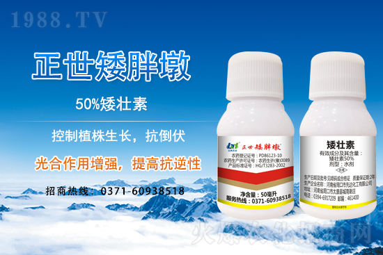 С����ǰ���L(zh��ng)��ʲôΣ������ȡʲô��ʩ����Ч��ͽ�L(zh��ng)��