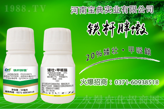 С����ǰ���L(zh��ng)��ʲôΣ������ȡʲô��ʩ����Ч��ͽ�L(zh��ng)��