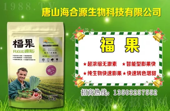 ĿǰС��?zh��n)��?g��u)�����X(qi��n)һ����С���r(ji��)�����������